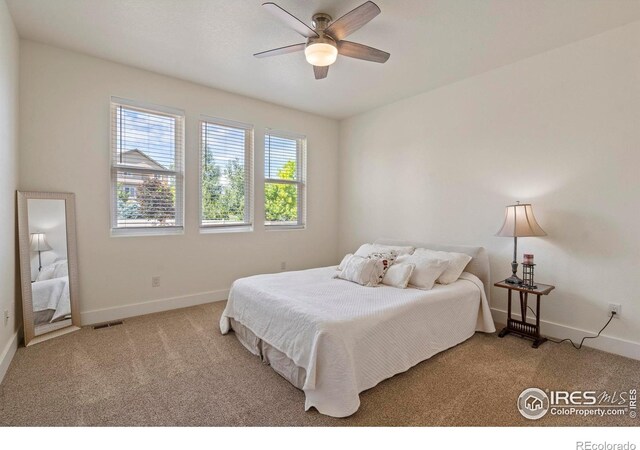 7401 Turnbull Ct, Windsor, CO 80550
