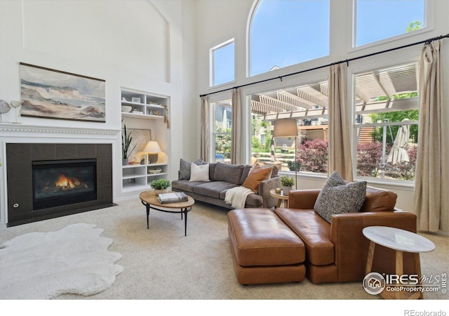 3931 Stonegrass Pt, Broomfield, CO 80023 - living room with healthy amount of natural light, built in features, carpet flooring, and a high ceiling