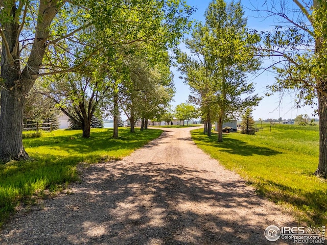 7018 Daryn Ln, Fort Collins, CO 80524 - photo 4
