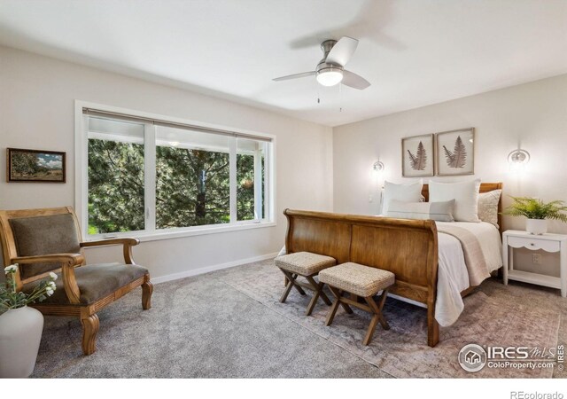7018 Daryn Ln, Fort Collins, CO 80524 - photo 16