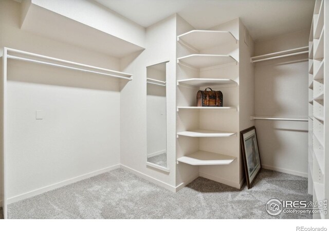 7018 Daryn Ln, Fort Collins, CO 80524 - photo 20