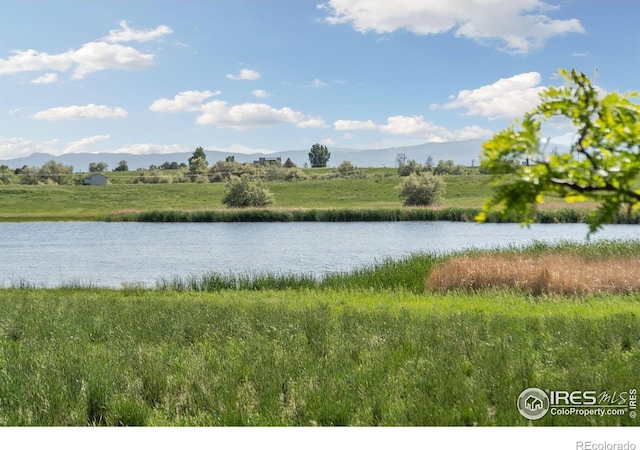 7018 Daryn Ln, Fort Collins, CO 80524 - photo 39
