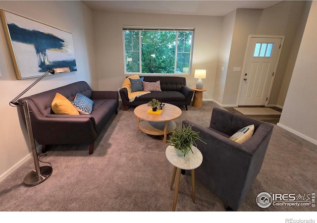 3514 Big Ben Dr Unit B, Fort Collins, CO 80526 - photo 20