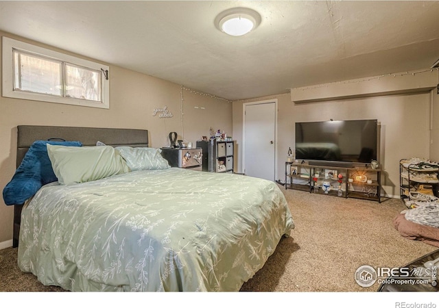 1421 N 7th St, Grand Junction, CO 81501 - bedroom featuring carpet floors