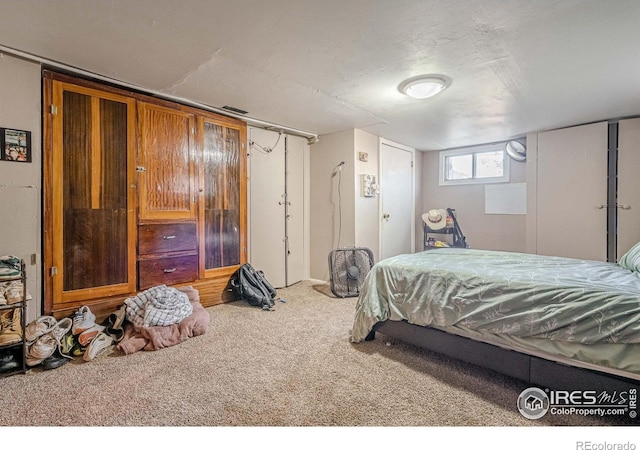 1421 N 7th St, Grand Junction, CO 81501 - bedroom with carpet flooring