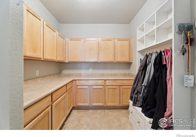 13266 Teller Lake Way, Broomfield, CO 80020 - kitchen featuring light brown cabinetry, open shelves, and light countertops