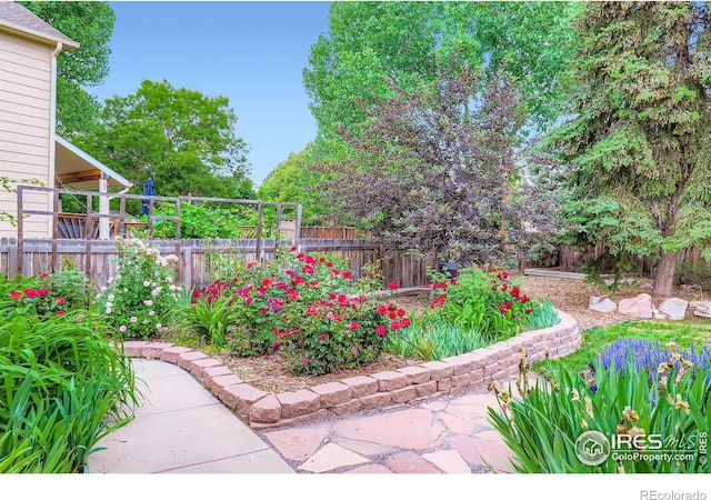 1616 Cedarwood Dr, Longmont, CO 80504 - view of fenced backyard