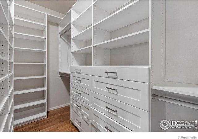 2833 Annelise Way, Fort Collins, CO 80525 - spacious closet featuring wood finished floors