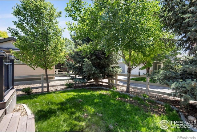 2833 Annelise Way, Fort Collins, CO 80525 - view of yard