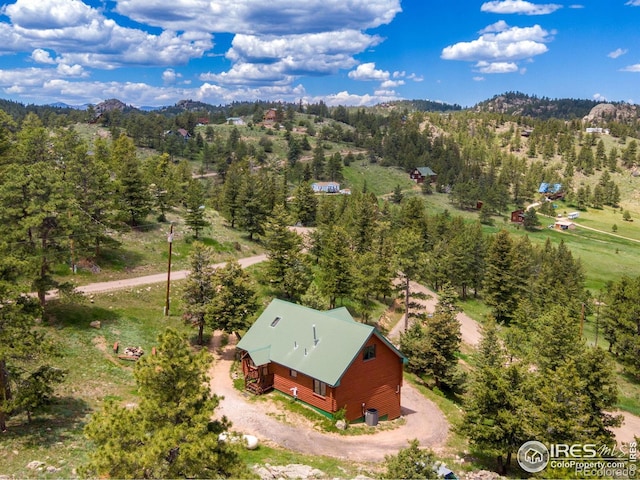679 Mount Massive Dr, Livermore, CO 80536 - photo 4