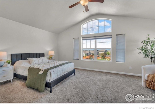 1182 Bowen Pass St, Severance, CO 80550 - photo 5