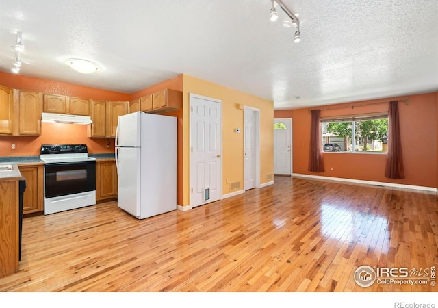 3350 Saratoga St Unit C, Wellington, CO 80549 - kitchen featuring freestanding refrigerator, electric range oven, under cabinet range hood, light wood-style floors, and a textured ceiling