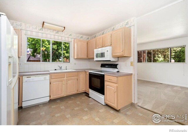 1024 Oxford Ln Unit 52, Fort Collins, CO 80525 - photo 5