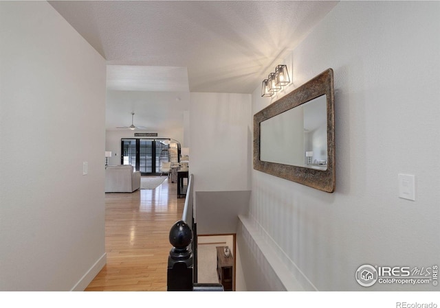 1250 Honeysuckle Ct, Windsor, CO 80550 - hall with light wood-style flooring and baseboards