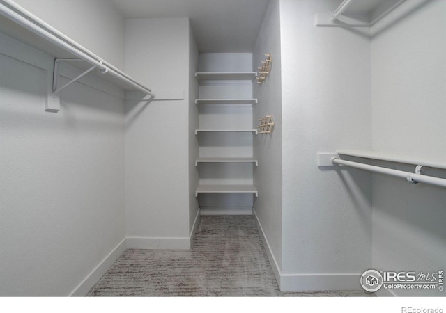 1250 Honeysuckle Ct, Windsor, CO 80550 - spacious closet featuring carpet flooring