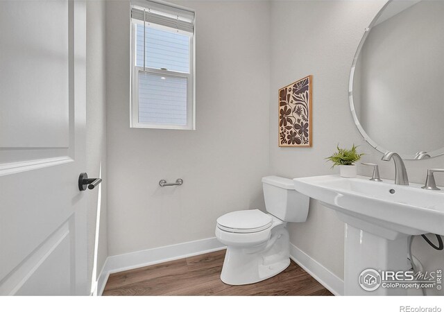 5741 Isabella Ave, Timnath, CO 80547