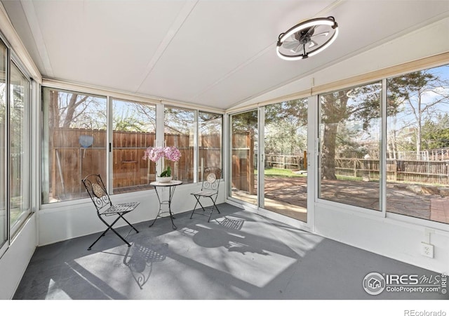 717 Parkview Dr, Fort Collins, CO 80525 - photo 32