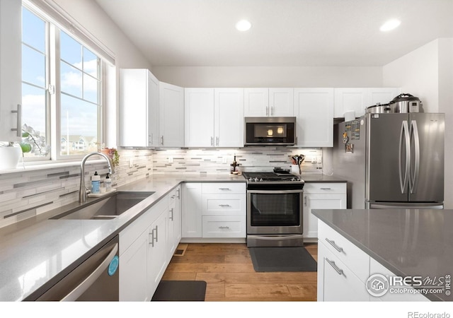 883 Widgeon Cir, Longmont, CO 80503 - photo 6