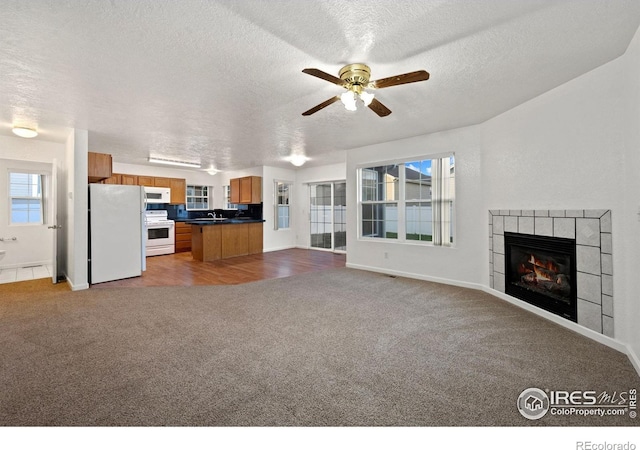 3316 Barbera St, Evans, CO 80634 - photo 5