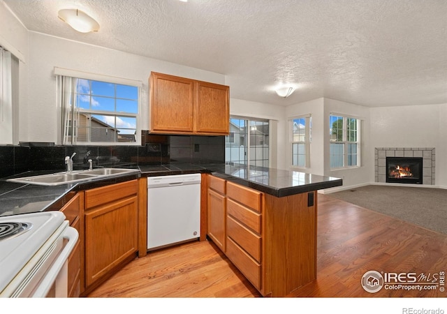 3316 Barbera St, Evans, CO 80634 - photo 9