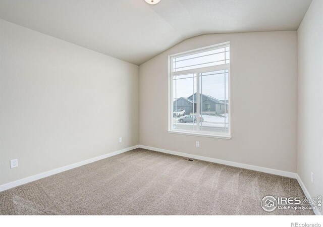 7150 Rye Grass Dr, Wellington, CO 80549 - photo 21
