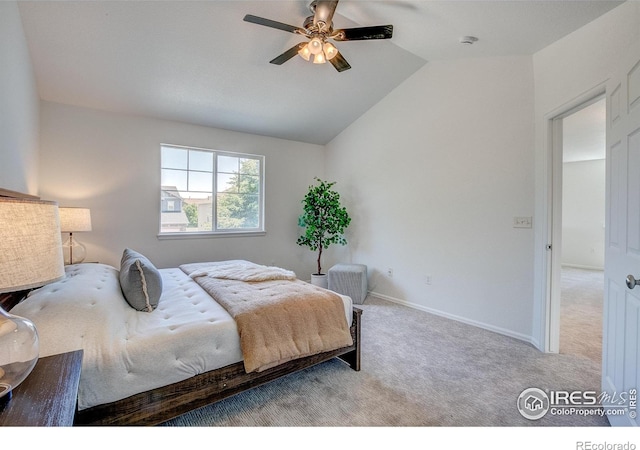3209 San Marco Ave, Evans, CO 80620 - photo 24