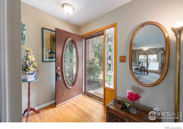 2265 Nyssa Ct, Loveland, CO 80538 - photo 18