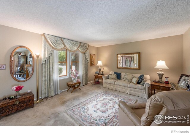 2265 Nyssa Ct, Loveland, CO 80538 - photo 19