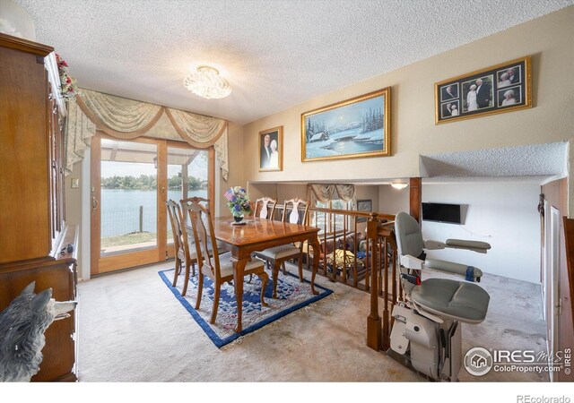 2265 Nyssa Ct, Loveland, CO 80538 - photo 20