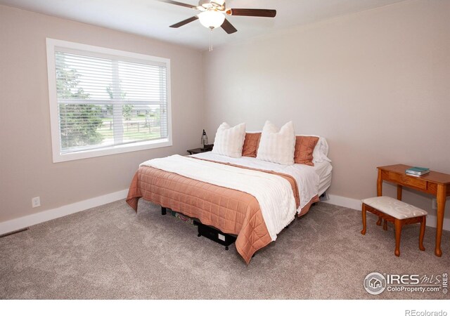 19260 Chambers Dr, Sterling, CO 80751 - photo 19