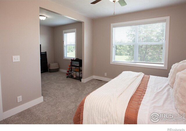 19260 Chambers Dr, Sterling, CO 80751 - photo 21