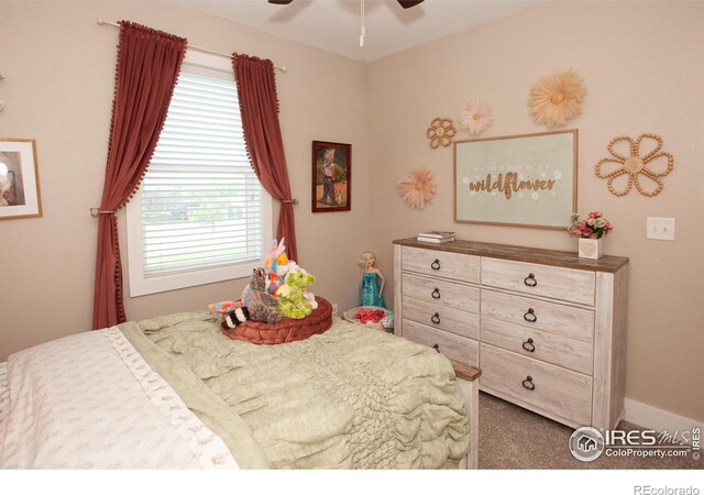 19260 Chambers Dr, Sterling, CO 80751 - photo 28