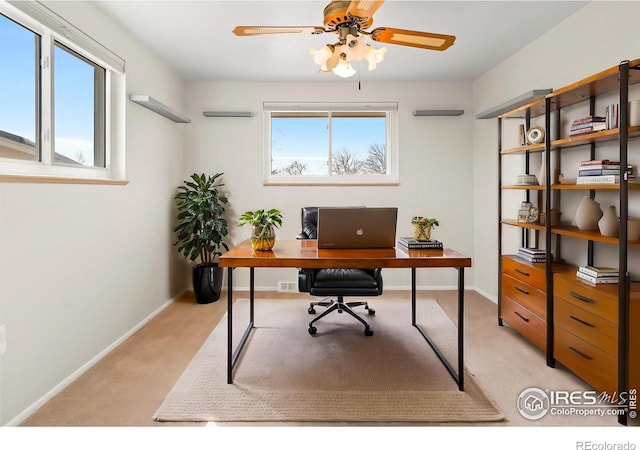 7162 Quay St, Arvada, CO 80003 - office space with light carpet and a ceiling fan