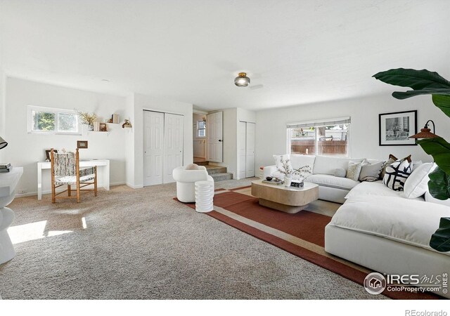 4720 Perry St, Denver, CO 80212 - photo 19