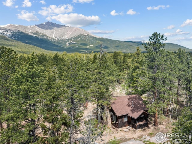84 County Road 113 N, Allenspark, CO 80510 - view of mountain backdrop featuring a heavily wooded area