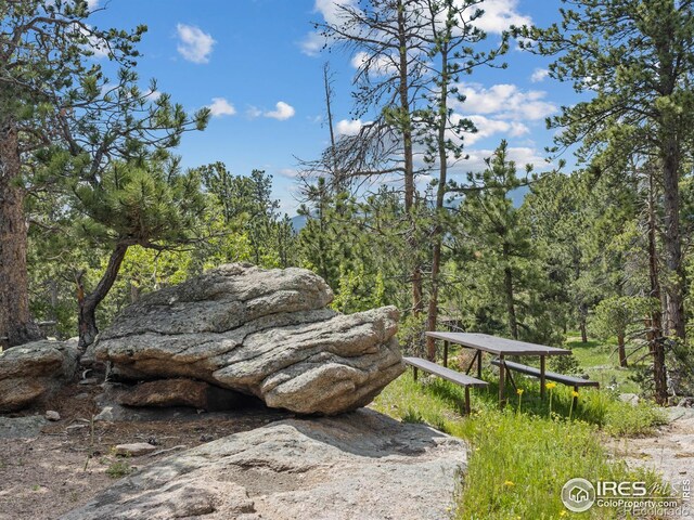 84 County Road 113 N, Allenspark, CO 80510 - view of yard