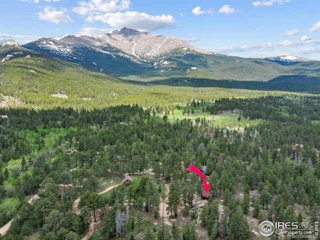 84 County Road 113 N, Allenspark, CO 80510 - mountain view with a forest