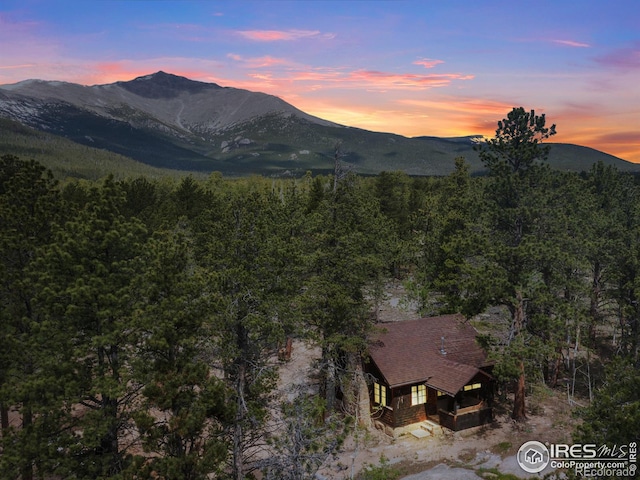 84 County Road 113 N, Allenspark, CO 80510 - view of mountain background featuring a forest