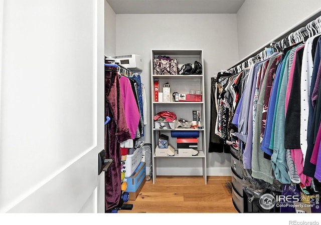 1101 Hillside Ln, Louisville, CO 80027 - walk in closet featuring wood finished floors