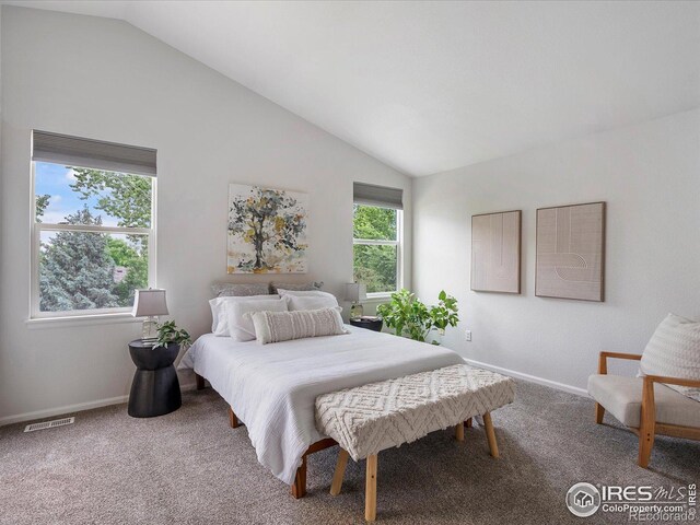 707 Starkey Ct, Erie, CO 80516 - photo 14