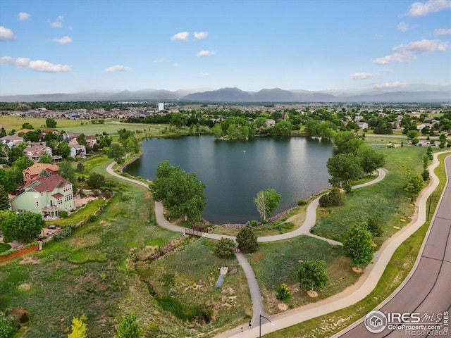 707 Starkey Ct, Erie, CO 80516 - photo 35