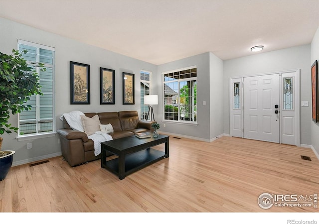 2006 Mackenzie Ct, Fort Collins, CO 80528 - living area featuring light wood finished floors and baseboards