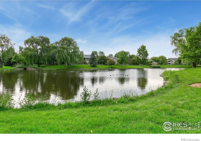 2006 Mackenzie Ct, Fort Collins, CO 80528 - water view