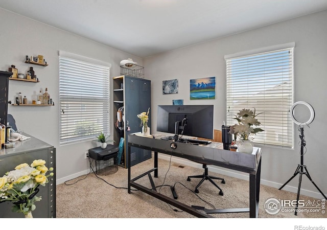 2332 Tabor St, Berthoud, CO 80513 - carpeted office space featuring baseboards