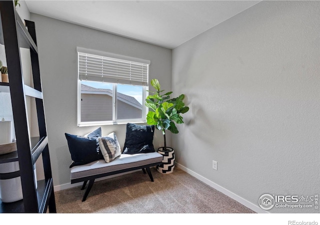 2332 Tabor St, Berthoud, CO 80513 - sitting room featuring carpet and baseboards