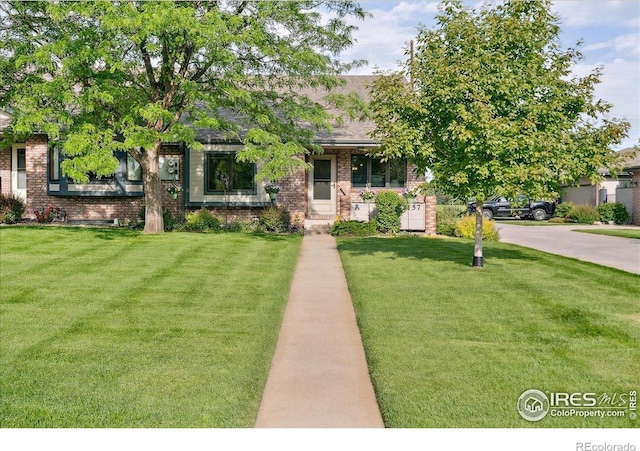 2157 46th Avenue Ct Unit A, Greeley, CO 80634 - view of property hidden behind natural elements featuring brick siding, a front lawn, and roof with shingles