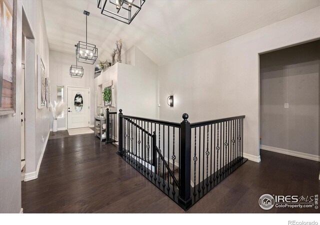 4041 Carroway Seed Dr, Johnstown, CO 80534 - foyer entrance with a chandelier, wood finished floors, and high vaulted ceiling