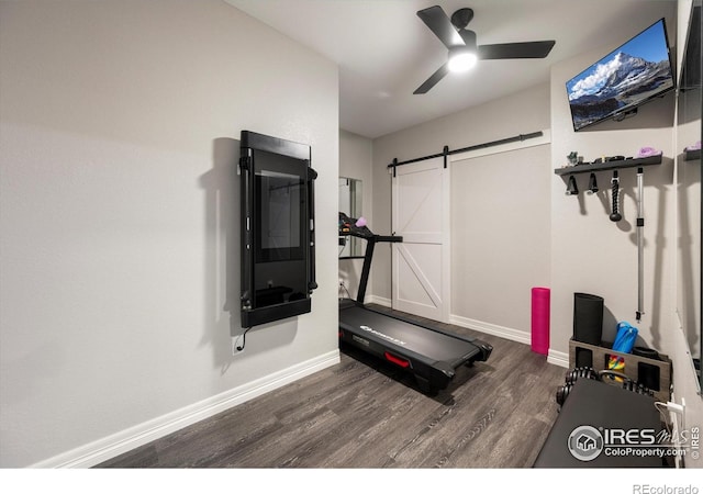 4041 Carroway Seed Dr, Johnstown, CO 80534 - exercise room featuring wood finished floors, a barn door, and ceiling fan