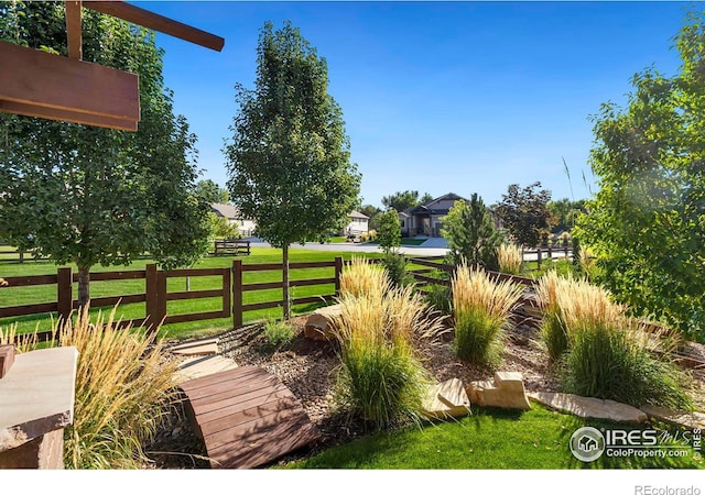 4041 Carroway Seed Dr, Johnstown, CO 80534 - view of yard