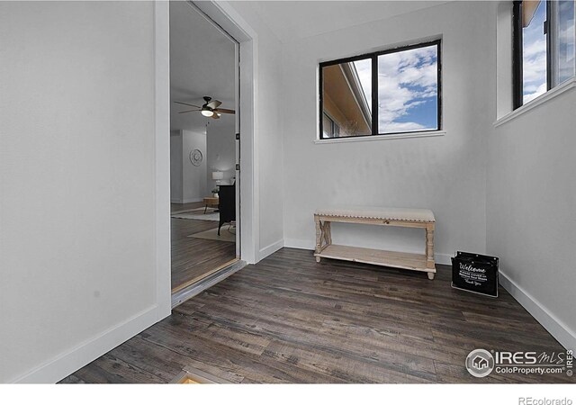 1278 Cucharas Mountain Dr, Livermore, CO 80536 - photo 17